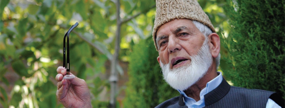 free Kashmir and Palestine