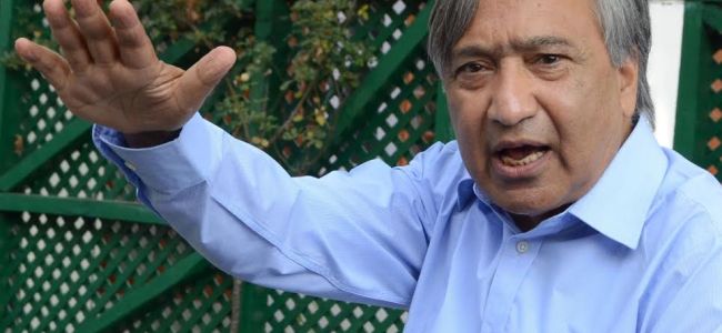 M Y Tarigami