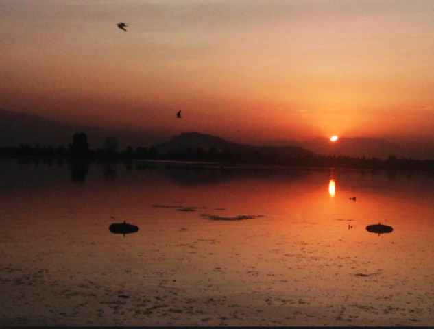 Dal Lake