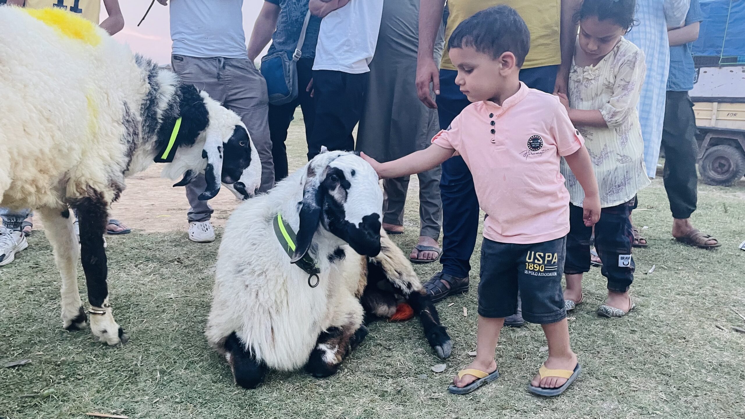 Eid ul-Adha